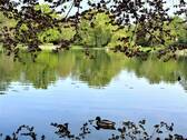Arthur-Bretschneider-Park - 