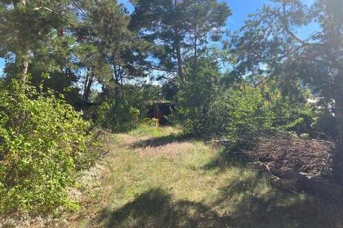 Grundstücksblick Straßenseitig - Interessantes Wohnbaugrundstück in Vogelsdorf