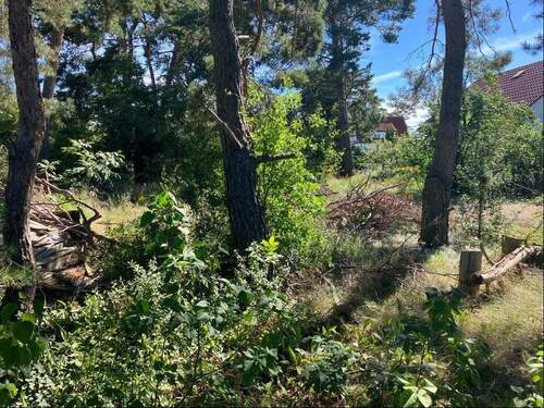 Grundstücksansicht - Grundstück in Fredersdorf-Vogelsdorf