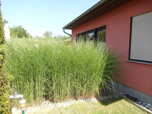 Rechte Vorderansicht - 