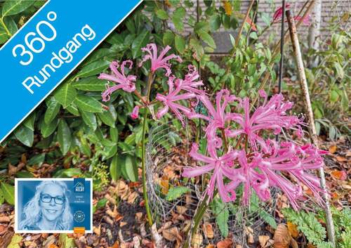 Blumengarten - 