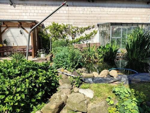 Teich und Gewächshaus im Garten - 
