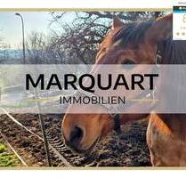 Idyllisches, großes Anwesen auch für Ihre Pferde! - Schlüchtern Klosterhöfe