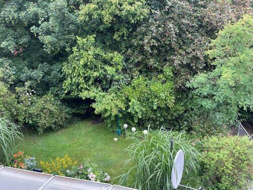 Blick Garten.jpg - 
