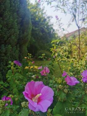 Garten - Freistehend und mit großem Garten