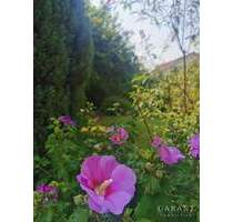 Freistehend und mit großem Garten - Backnang