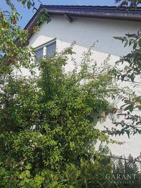 Ansicht Giebel - 