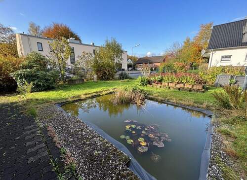 Teich - 