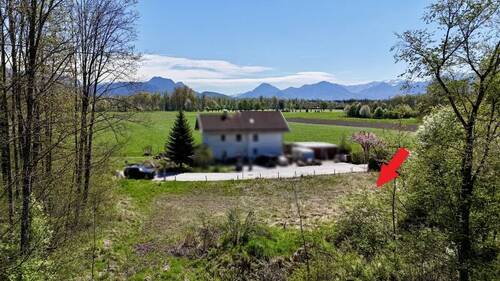 Blick zum Grundstück - Schönes Baugrundstück in Seenähe bei Happing - Grundstück West