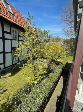 Garten-Rasen-Stäucher - 