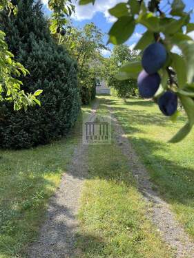 Pflaumenbaum - Ein Haus für alle Fälle! Großfamilie, 2-Familien, WG, Mehrgenerationen, etc.