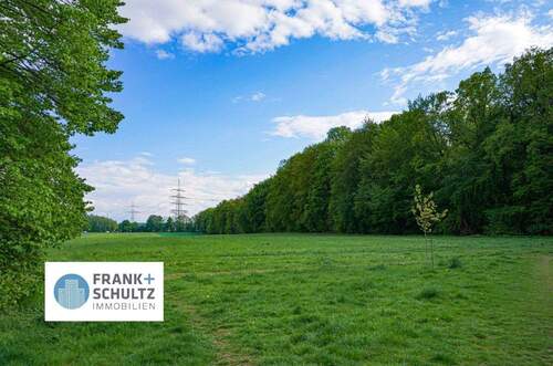 Natur hinter den Garagen - 