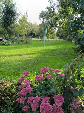 ....................... - 