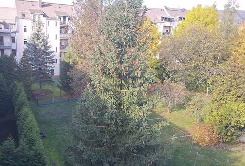 WhatsApp Image 2025-10-18 at 13.52.29 (2).jpeg - Etagenwohnung mit 60,00 m² in Chemnitz zur Miete