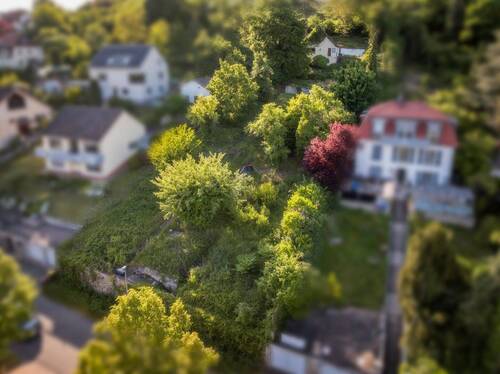 Luftaufnahme vom Grundstück - Grundstück zum Kaufen in Höchberg