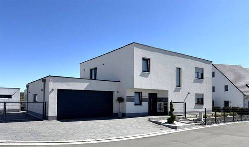 Blick zur Doppelgarage und Eingang - Viel Platz in modernem Zuhause für die ganze Familie!