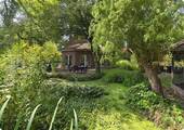 Blick über den Gartenteich - 