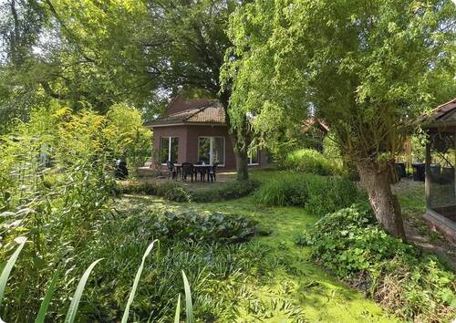Blick über den Gartenteich - 