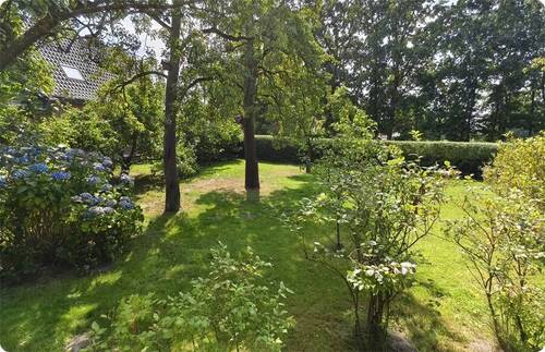 Garten mit Obstbäumen - 