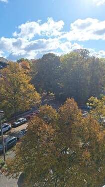 WhatsApp Image 2025-10-18 at 12.41.42 (3).jpeg - 