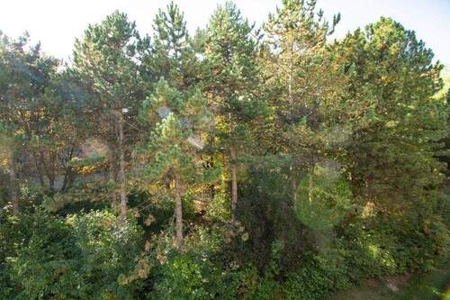 Blick von Loggia - Etagenwohnung mit 63,60 m&sup2; in München zum Kaufen