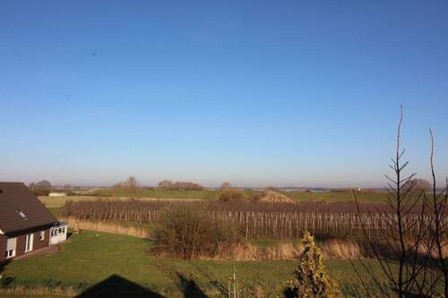 Blick zur Elbe vom DG - 