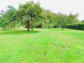 Garten mit Obst- und Wallnussbaum - 