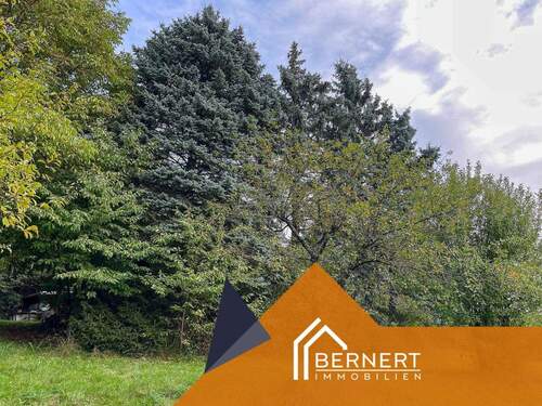 Baumbestand - Grundstück in Marktzeuln