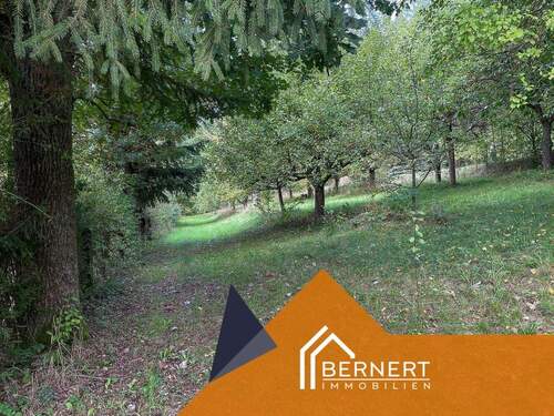 Streuobstwiese unten - 