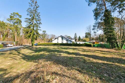 Blick nach Osten Richtung See - 