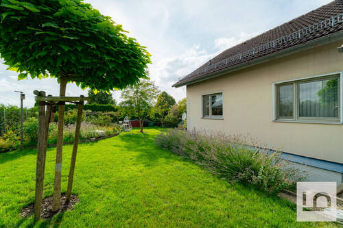 Gartentraum - 