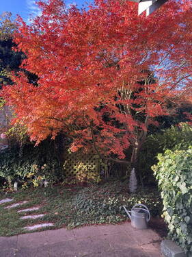 Garten - 