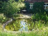 Gartenteich - 
