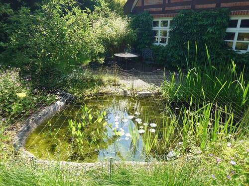 Gartenteich - 