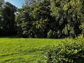 Bild 8 - 