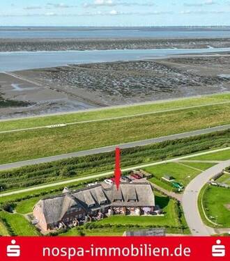 Titelbild - Direkt hinter dem Naturerbe Wattenmeer - landschaftstypisches Reihenmittelhaus unter Reet!