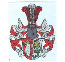 Älteres Bauernhaus zum günstigen Kaufpreis - Höchheim