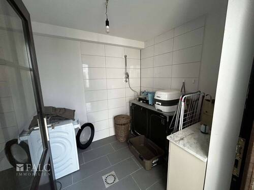 Hauswirtschaftsraum mit Dusche - 