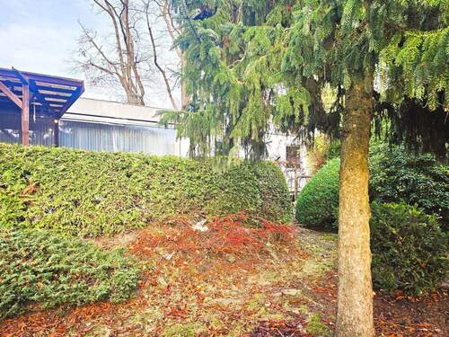 Garten Terrassenansicht - 3 Zimmer Einfamilienhaus in Berlin