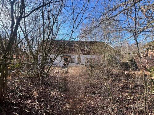 Bild 2 - 8 Zimmer Mehrfamilienhaus, Wohnhaus zum Kaufen in Gerdau