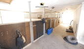 Stall (Pferdeboxen) - 