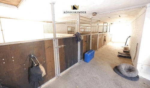 Stall (Pferdeboxen) - 