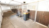 Stall (Pferdeboxen) - 