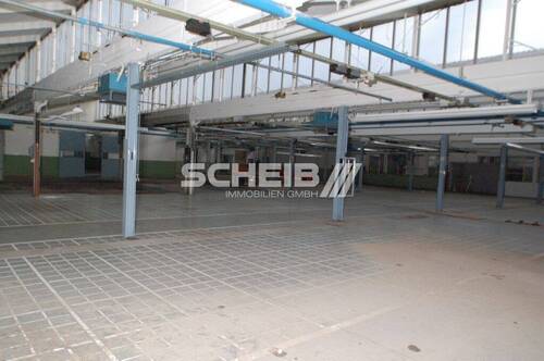 hell durch Oberlicht - Halle in Oberrot