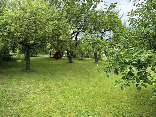 Grundstück mit Baumbestand - Grundstück zum Kaufen in Flachslanden