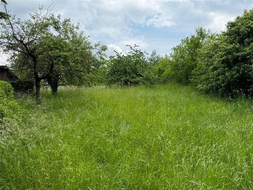 Grundstück - Grundstück in Flachslanden zum Kaufen