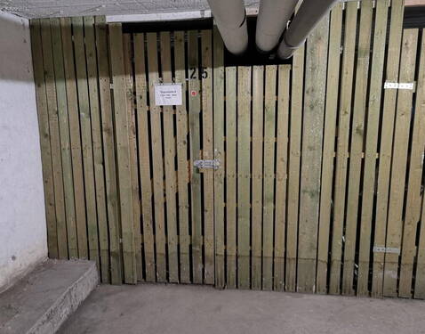 Keller: trocken und gepflegt - 