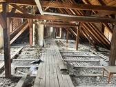IMG_4208.jpeg - 