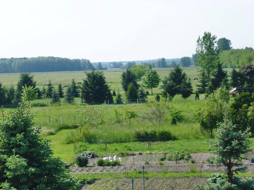 Bild 2 - Mehrfamilienhaus, Wohnhaus zum Kaufen in Schönwalde - Glien