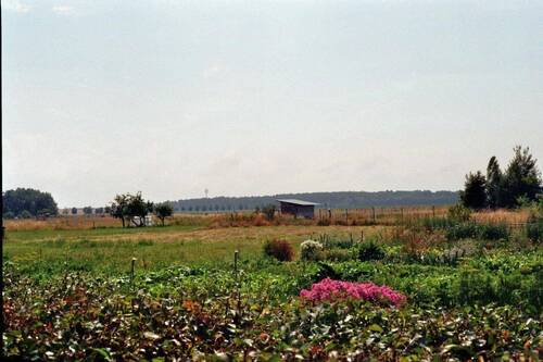 Bild 3 - Mehrfamilienhaus, Wohnhaus in Schönwalde - Glien